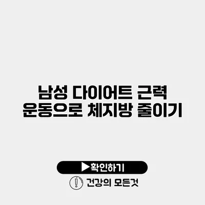 남성 다이어트 근력 운동으로 체지방 줄이기