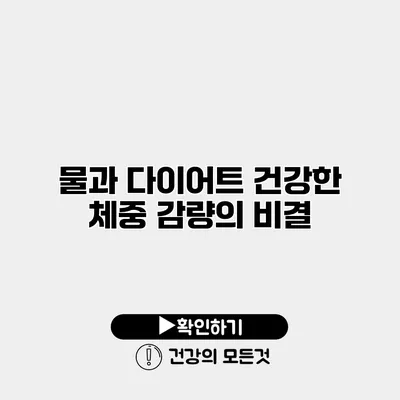 물과 다이어트 건강한 체중 감량의 비결
