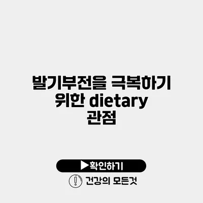 발기부전을 극복하기 위한 dietary 관점