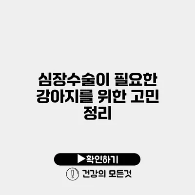 심장수술이 필요한 강아지를 위한 고민 정리