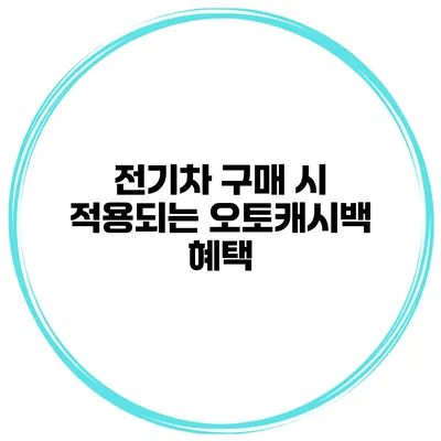 전기차 구매 시 적용되는 오토캐시백 혜택