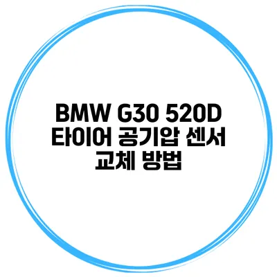BMW G30 520D 타이어 공기압 센서 교체 방법