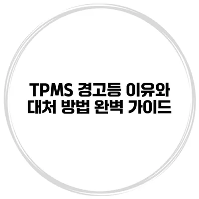 TPMS 경고등: 이유와 대처 방법 완벽 가이드