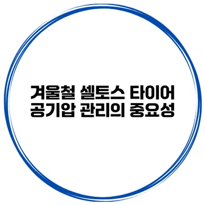 겨울철 셀토스 타이어 공기압 관리의 중요성