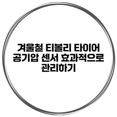 겨울철 티볼리 타이어 공기압 센서 효과적으로 관리하기