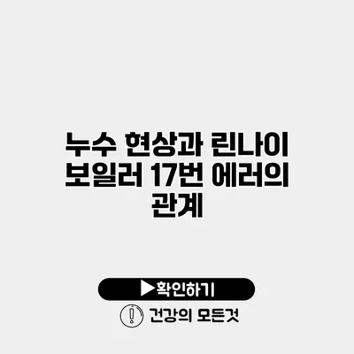 누수 현상과 린나이 보일러 17번 에러의 관계