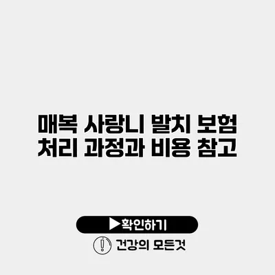 매복 사랑니 발치 보험 처리 과정과 비용 참고