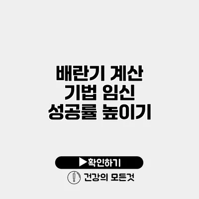 배란기 계산 기법 임신 성공률 높이기