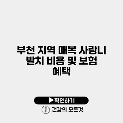 부천 지역 매복 사랑니 발치 비용 및 보험 혜택