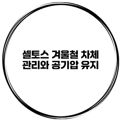셀토스 겨울철 차체 관리와 공기압 유지