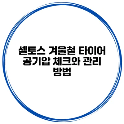 셀토스 겨울철 타이어 공기압 체크와 관리 방법