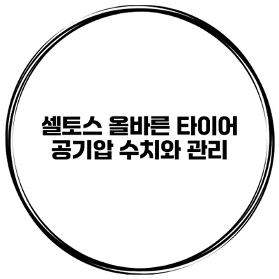 셀토스 올바른 타이어 공기압 수치와 관리