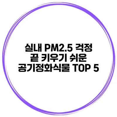 실내 PM2.5 걱정 끝 키우기 쉬운 공기정화식물 TOP 5