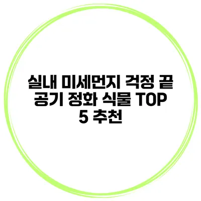 실내 미세먼지 걱정 끝 공기 정화 식물 TOP 5 추천