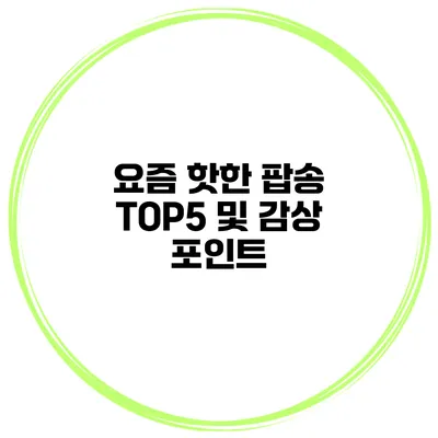요즘 핫한 팝송 TOP5 및 감상 포인트