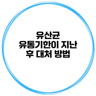 유산균 유통기한이 지난 후 대처 방법