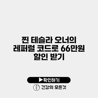 찐 테슬라 오너의 레퍼럴 코드로 66만원 할인 받기