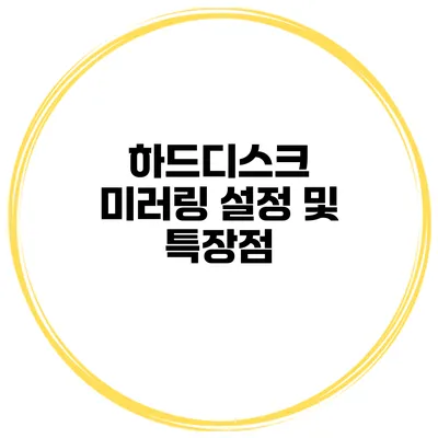 하드디스크 미러링 설정 및 특장점